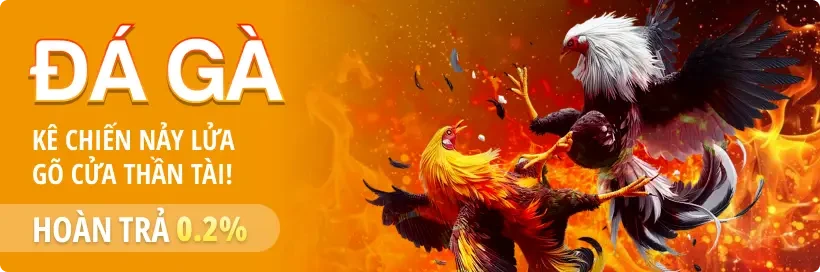 11BET Cược Đá Gà Mỗi Ngày, Nhận Hoàn Trả 0.2% Không Giới Hạn Tại 11BET