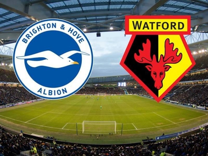 11BET Soi kèo Brighton vs Watford – hôm nay 09/02/2020