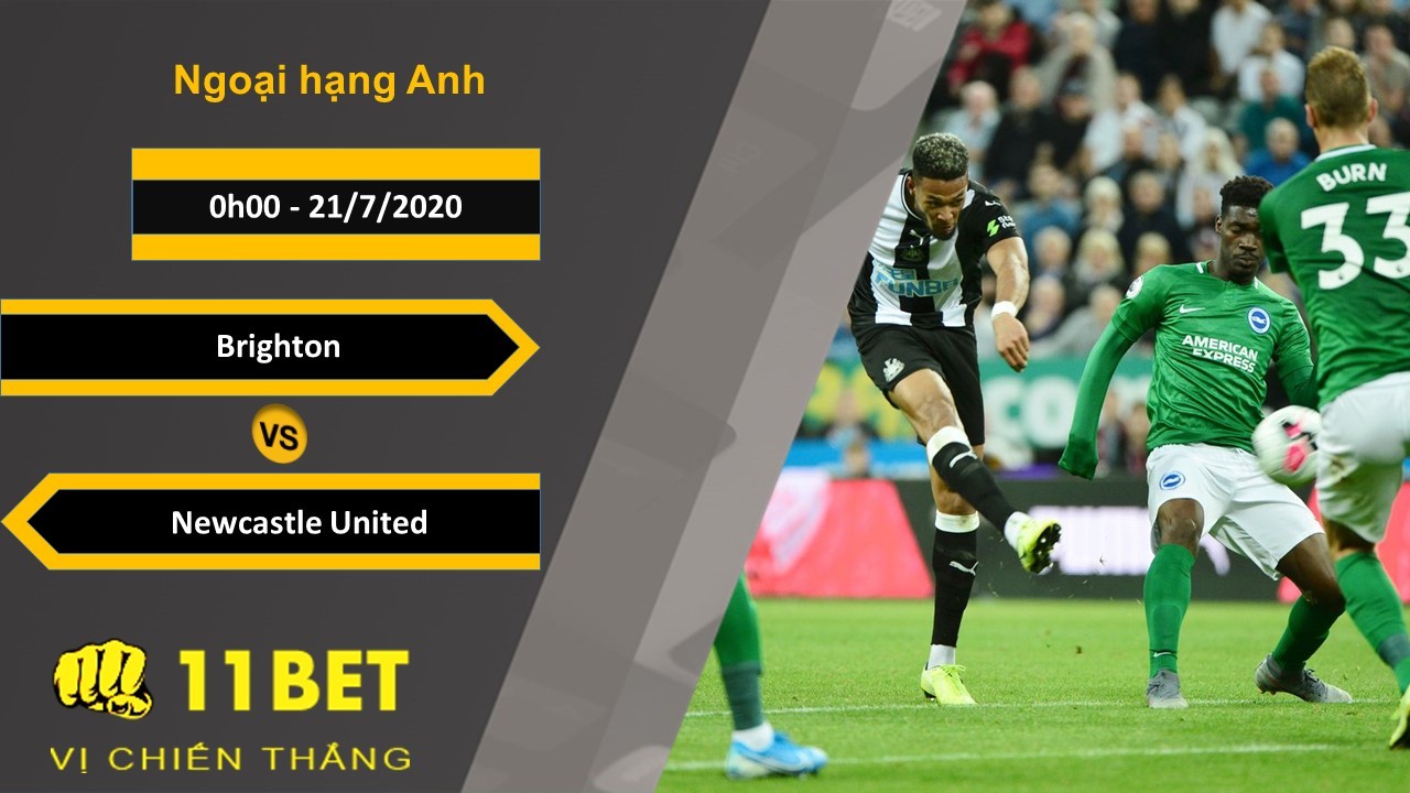 11BET Soi kèo Brighton vs Newcastle United , 0h00 ngày 21/07/2020