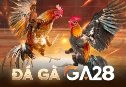 11BET Đá Gà Ga28